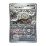 Antique Helix Fossil Reverse